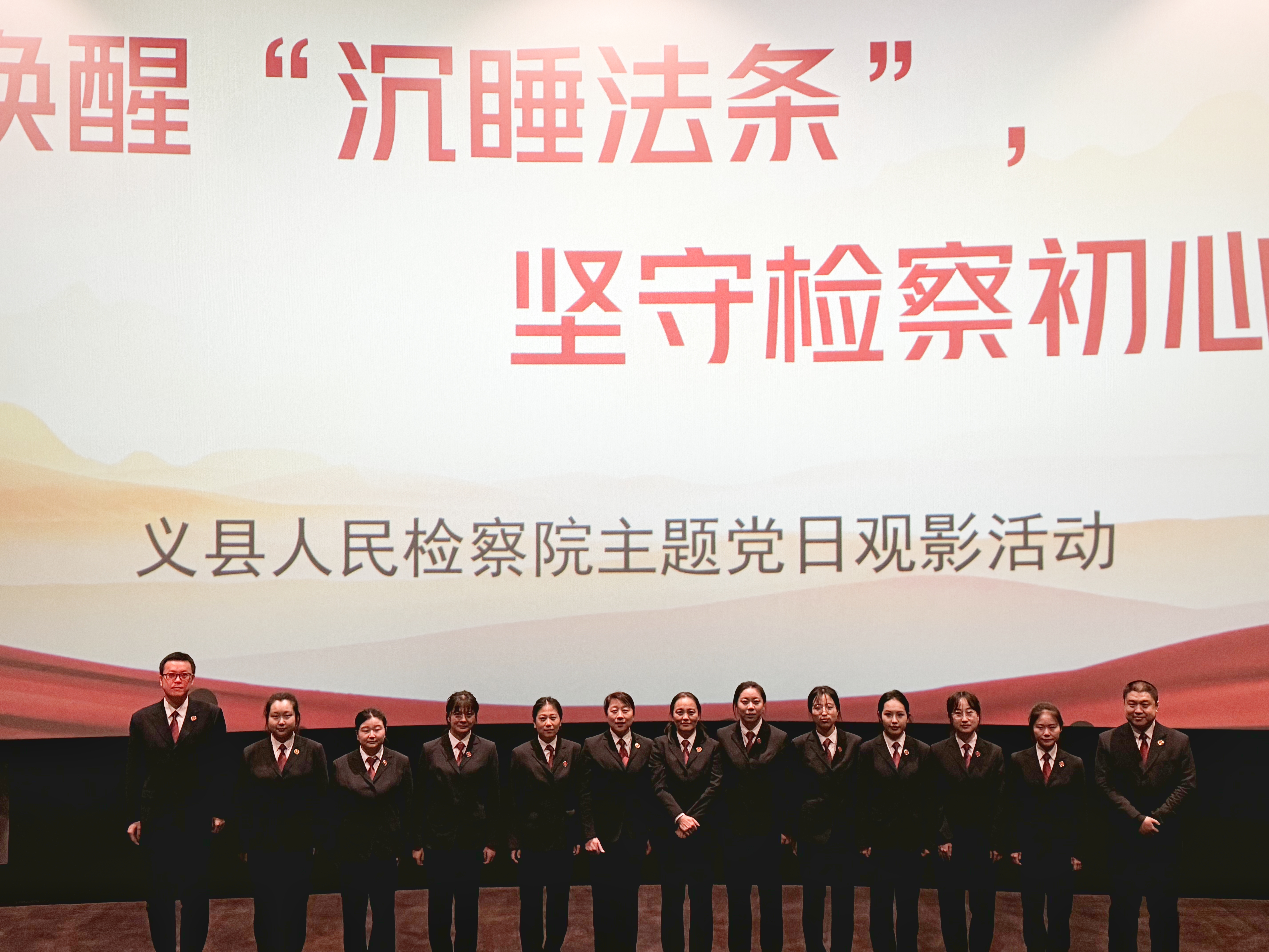 唤醒“沉睡法条”，坚守检察初心丨《第二十条》观影主题党日活动